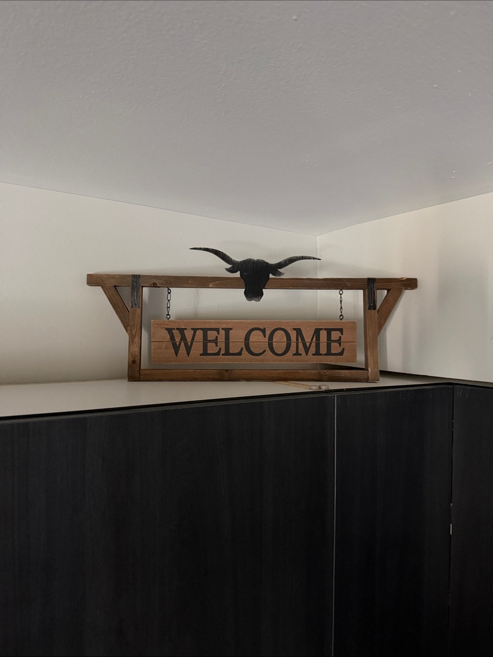 Hobby Lobby Brown and Black Welcome Wall Sign with Longhorn